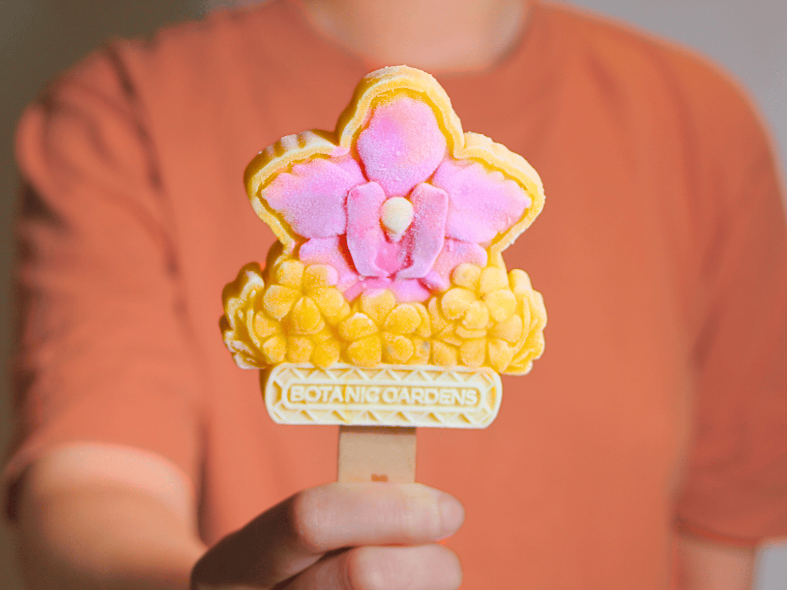 SG60 Singapore Unesco Botanic Gardens Orchid Ice Cream Popsicle (Copy)