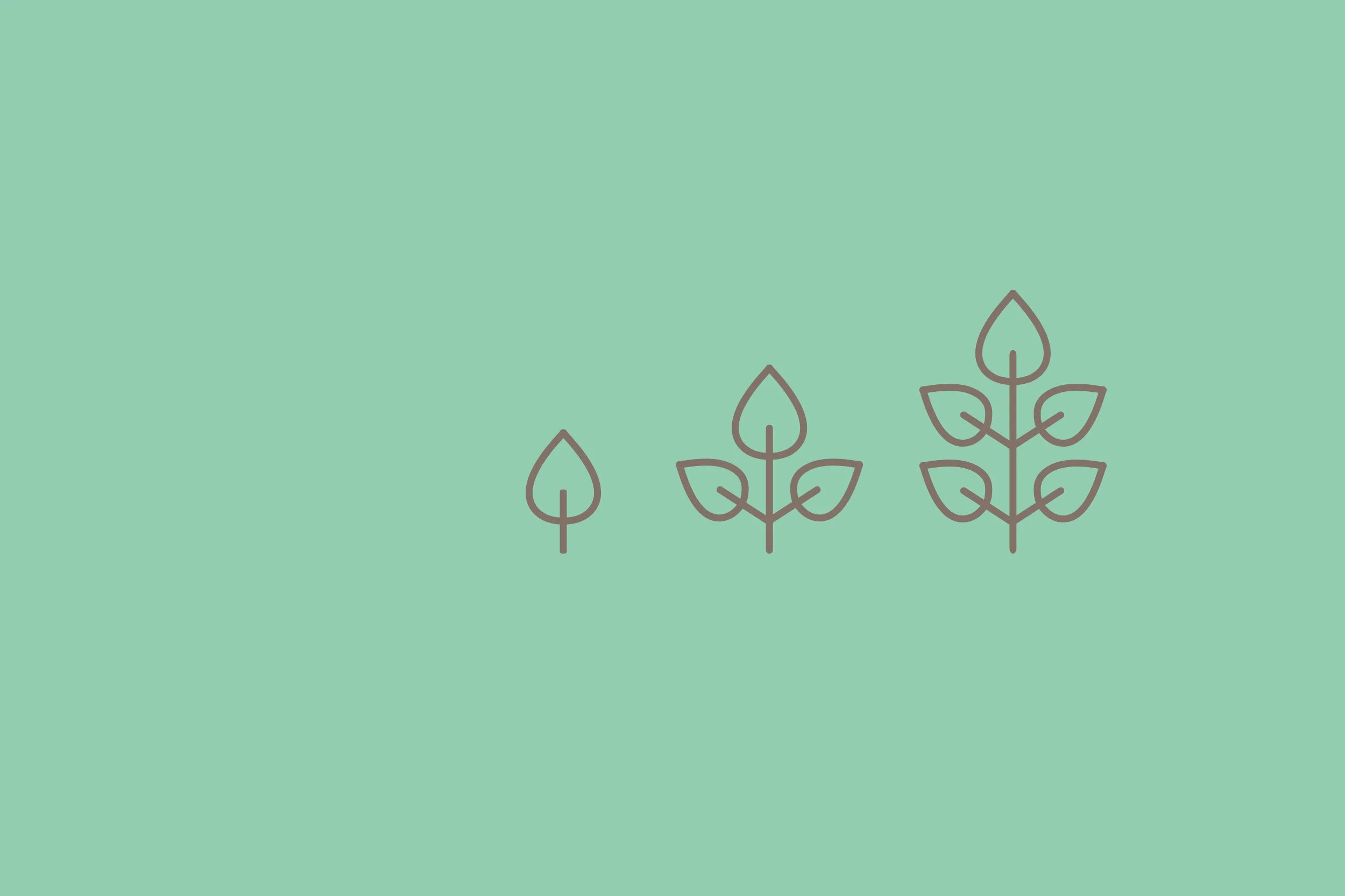spring_plant_02.jpg