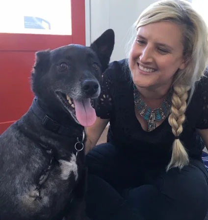 Happy Dog Bowen Therapy Eastern Suburbs Sydney