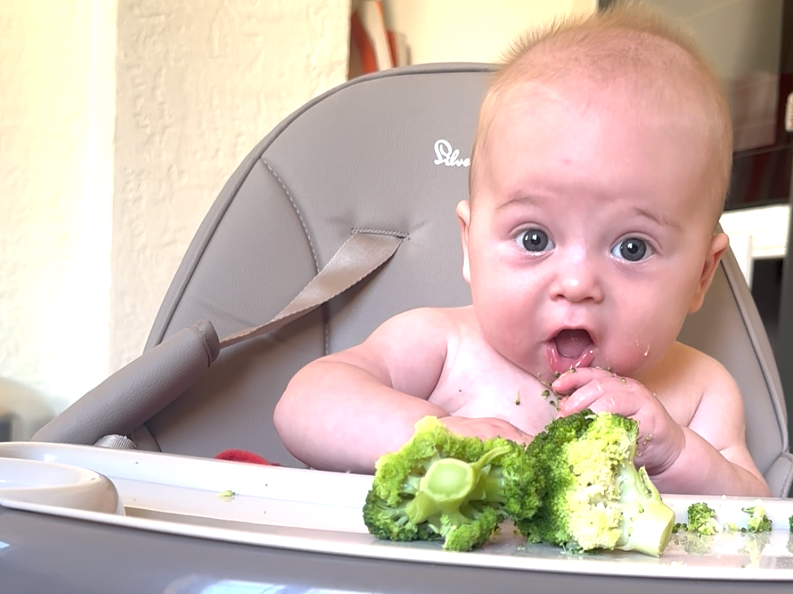 A Cheatās Guide to Weaning: Evidence-Based Answers to Your FAQs