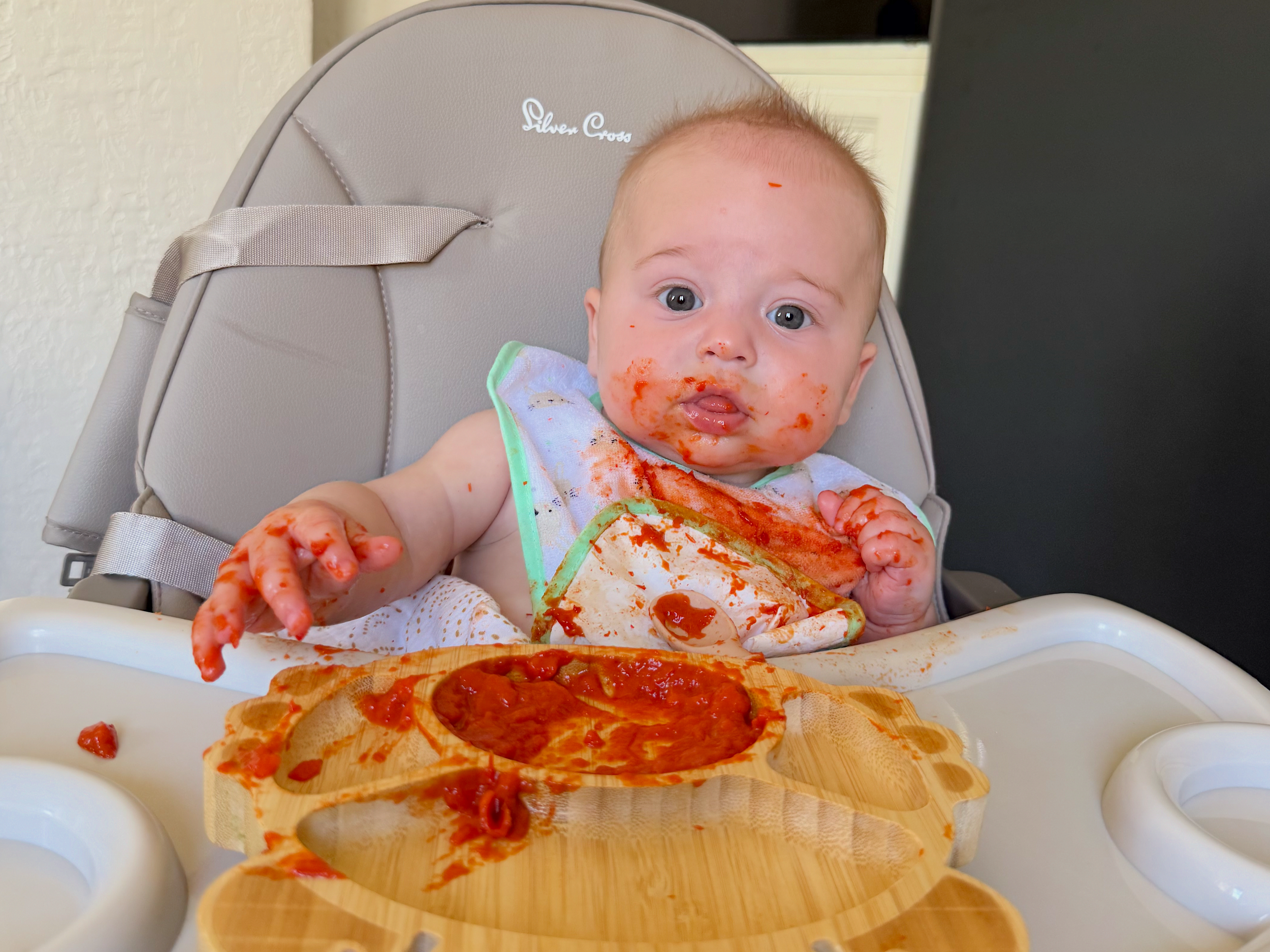 What Babies Can Teach Us About Relearning to Eat: Lessons from Weaning for Eating Disorder Recovery
