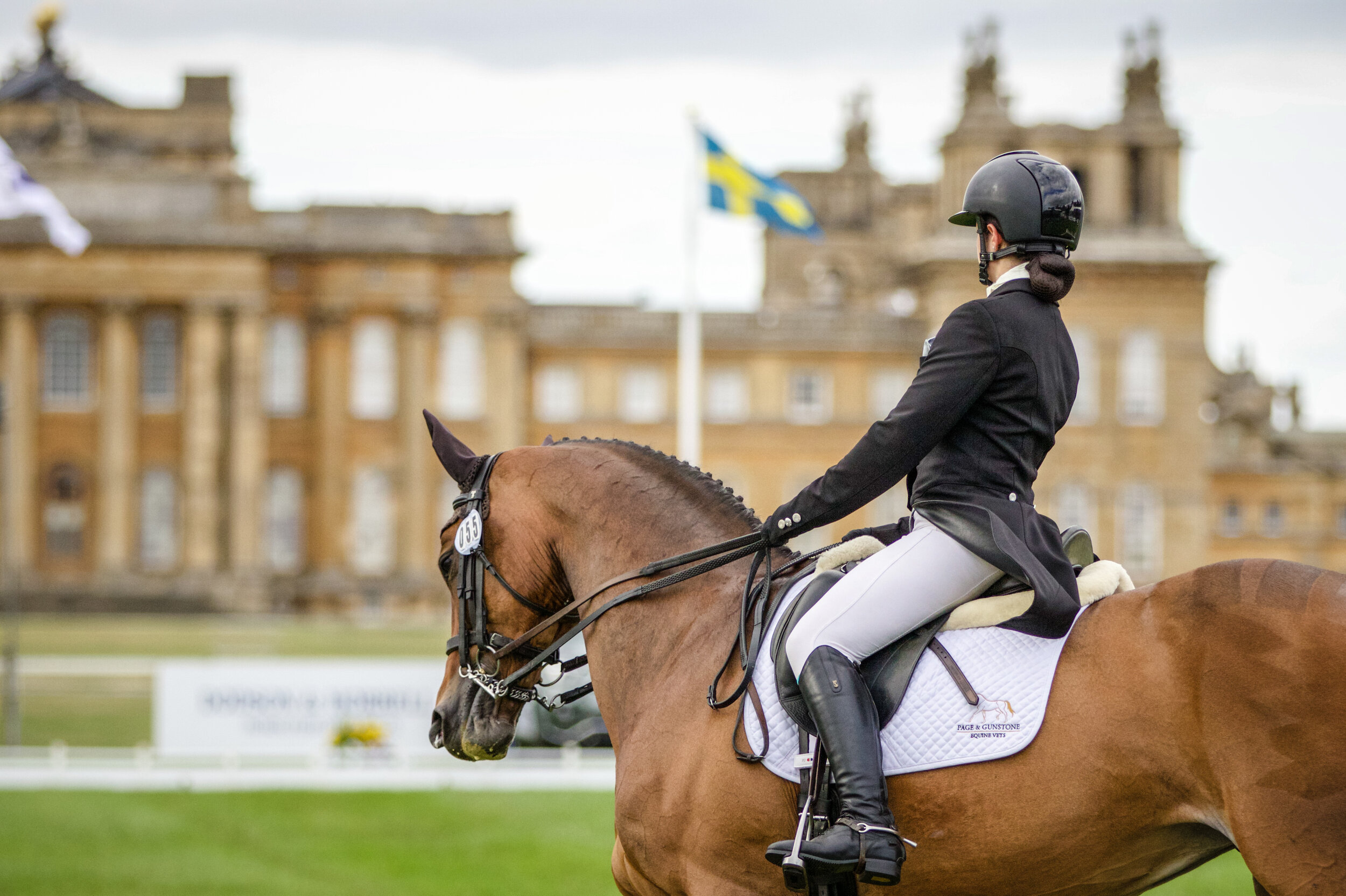 Horse ridden at Blenheim Palace