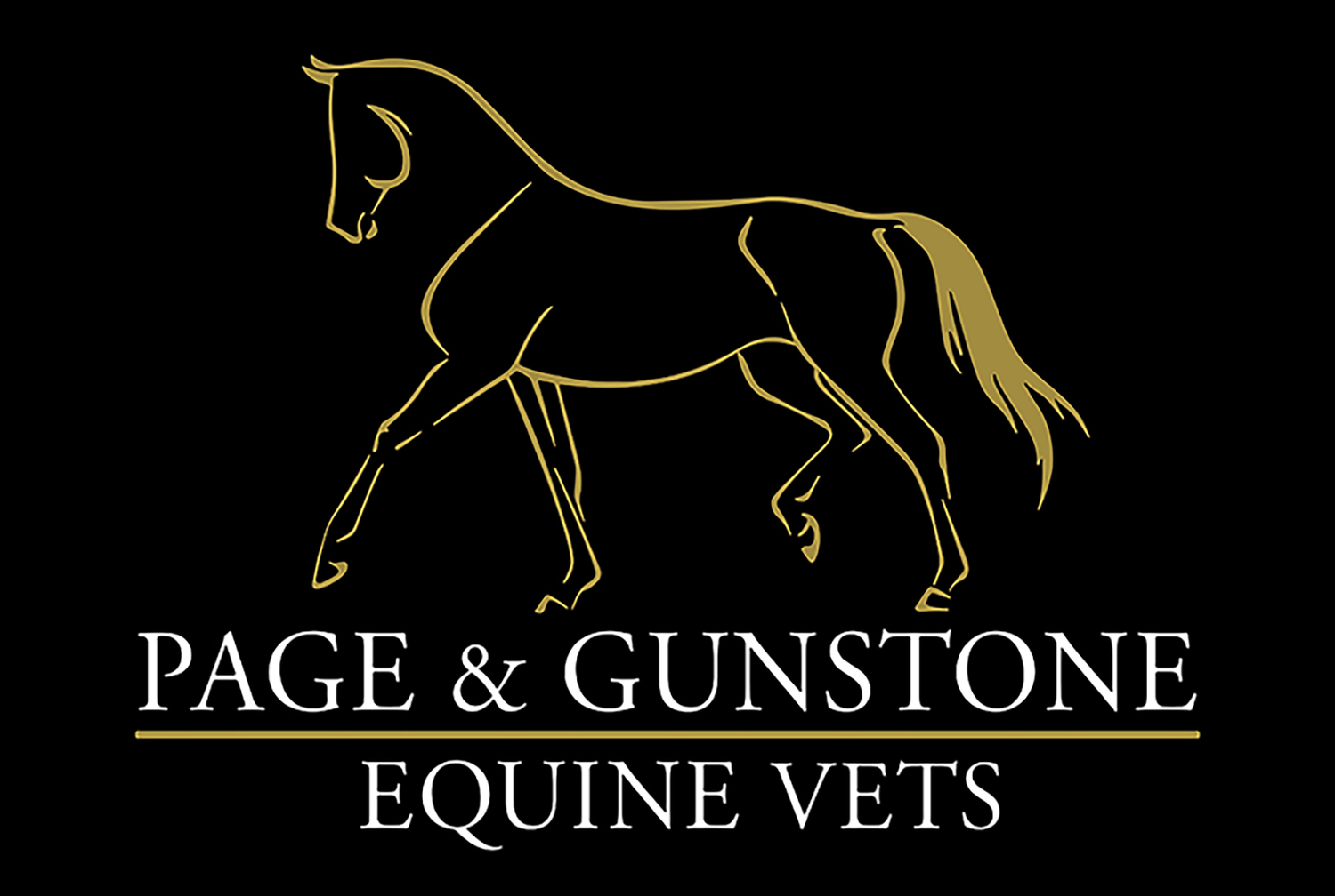 Page and Gunstone Equine Vets