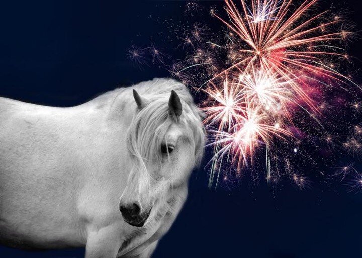 A few tips for preparing your horse for Fireworks on Bonfire Night:

- If your horses are going to be stabled consider playing the radio for them, providing constant background noise
- If you&rsquo;re planning to leave your horses out, make sure they