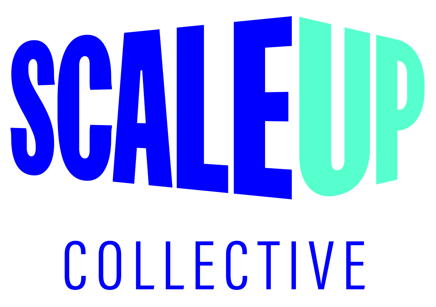 Scale Up Collective - Go-to-market for challenger brands