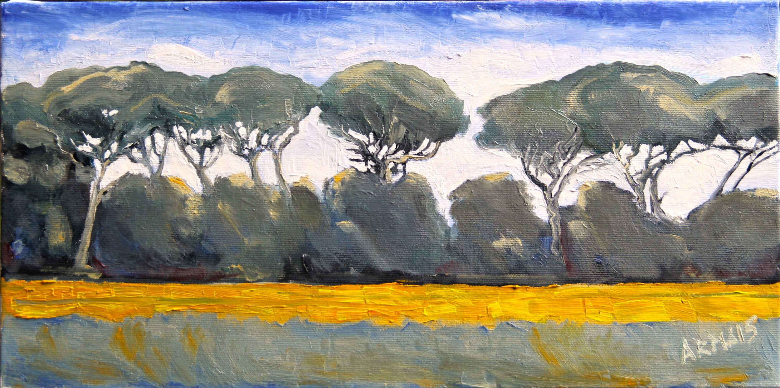 VENTO DI  MARE (the sea breeze)