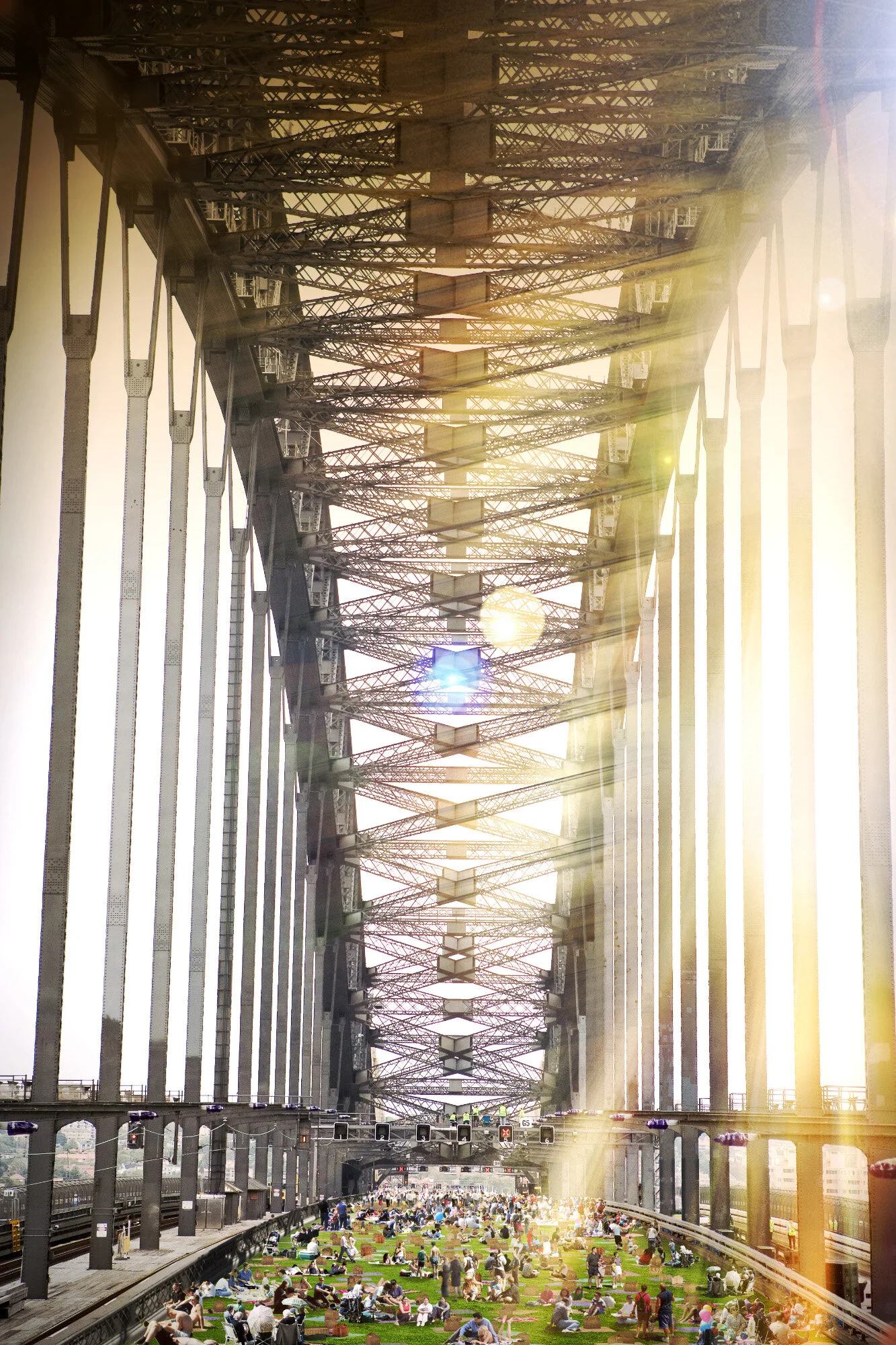 BOB_elevated_01.jpg
