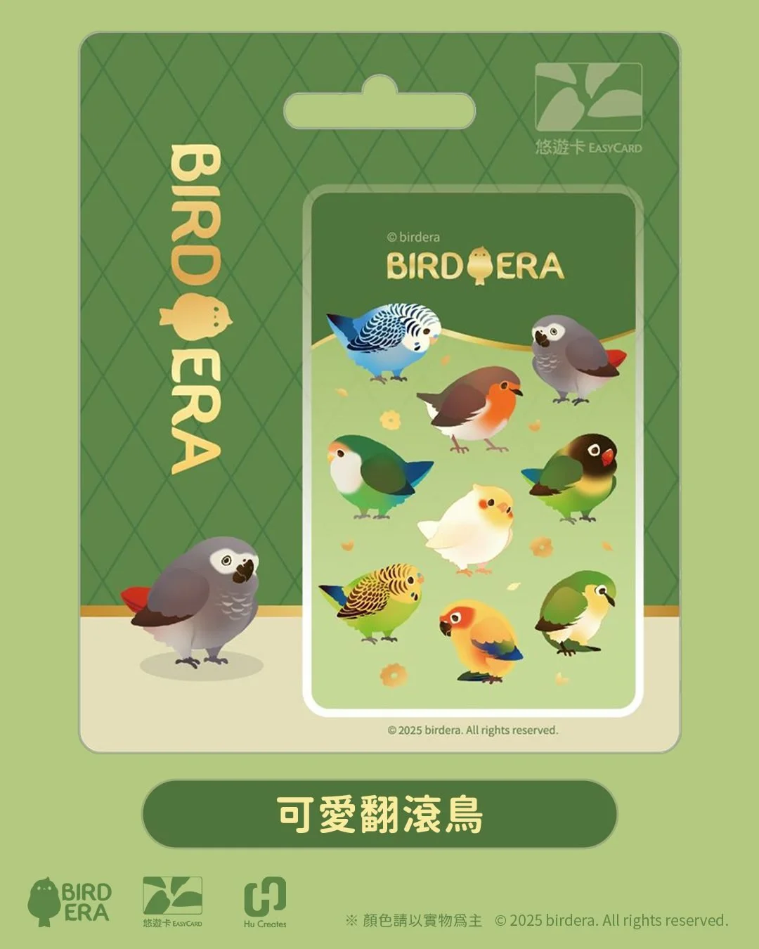 bird_era__2025-09-17T113946.000Z_1.jpg