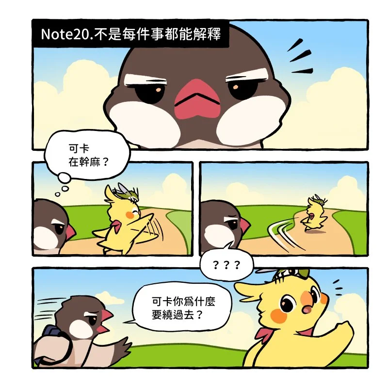 bird_era__2025-06-24T065906.000Z.jpg