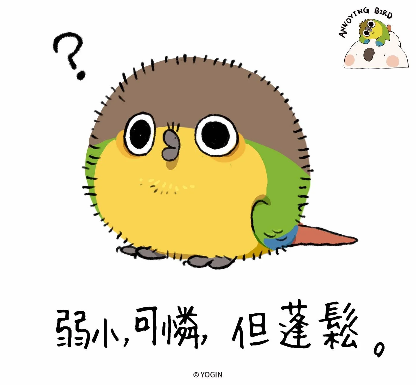 annoyingbird____2023-12-14T035943.000Z.jpg