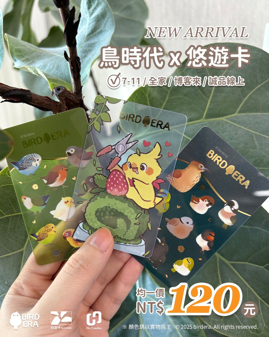 bird_era__2025-09-17T113946.000Z.jpg