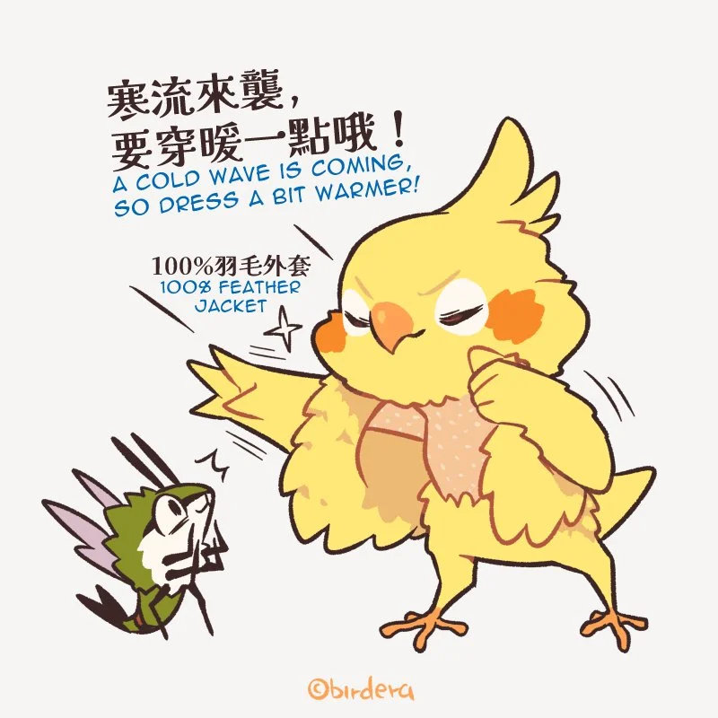 bird_era__2025-01-27T034529.000Z.jpg