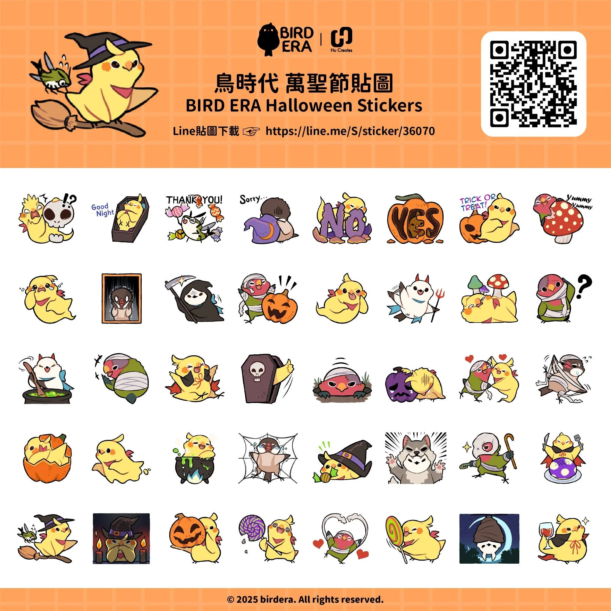 bird_era__2025-10-28T064831.000Z.jpg