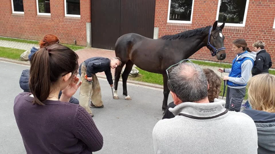Discussing Hoof balance and how it influences movement. DIPO Dülmen 2019
