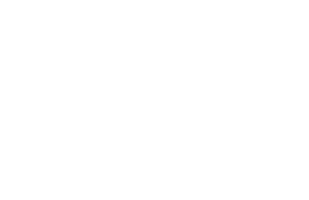 DIPO2.png