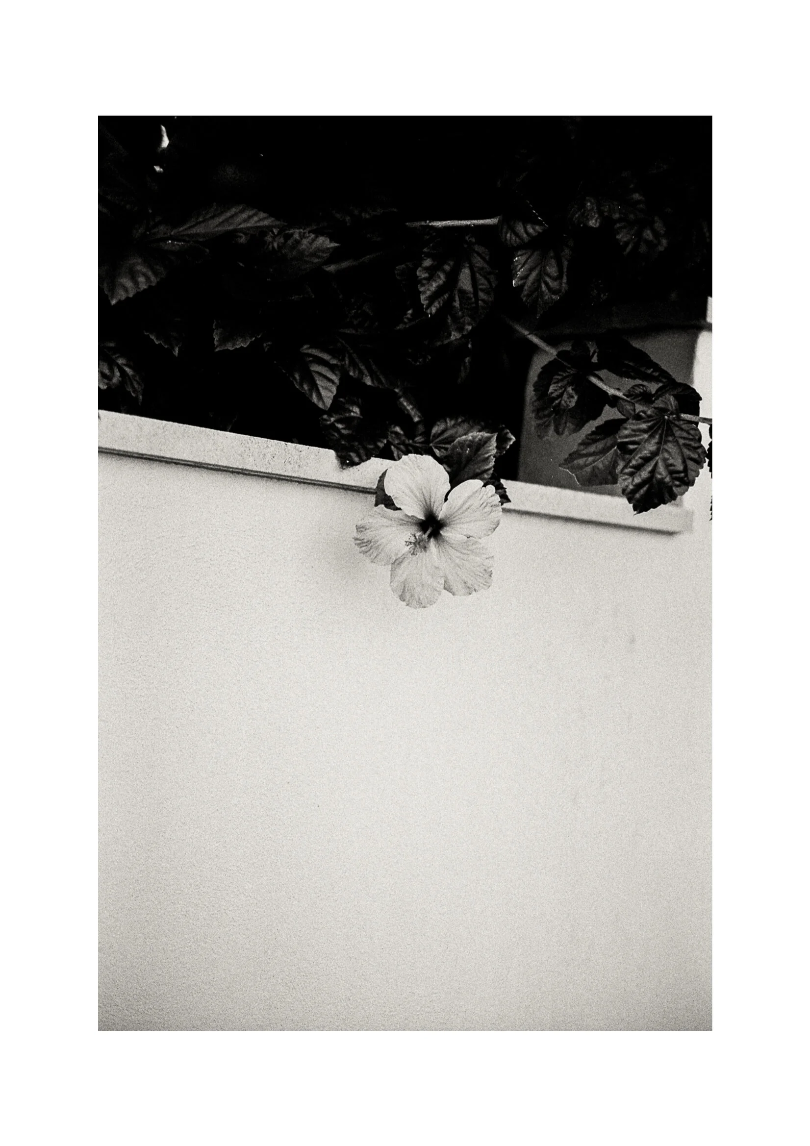 Garraf, Cataluña, España - 10.20