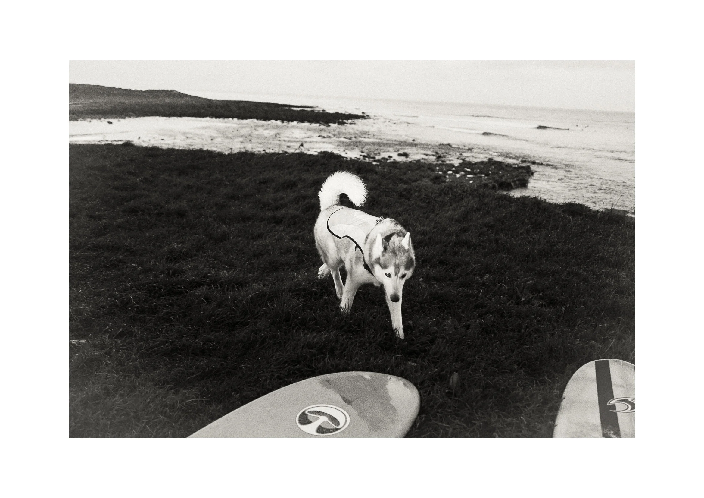 Surf J3-09.jpg