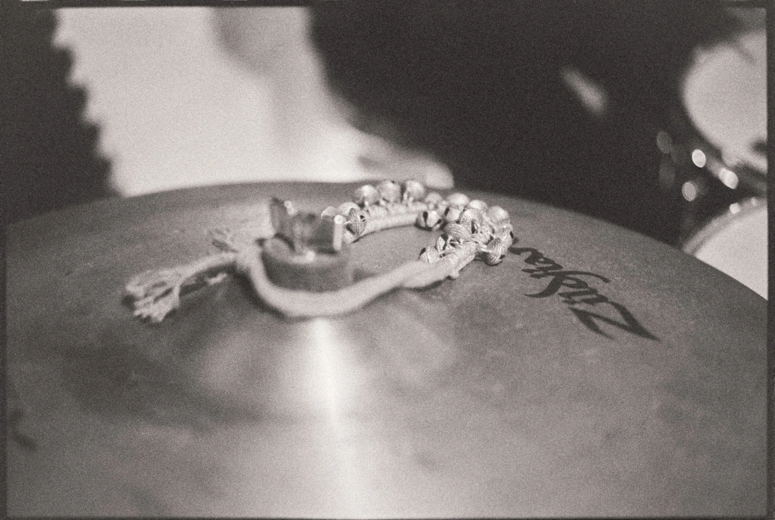 Guilhem Nellim-5.jpg