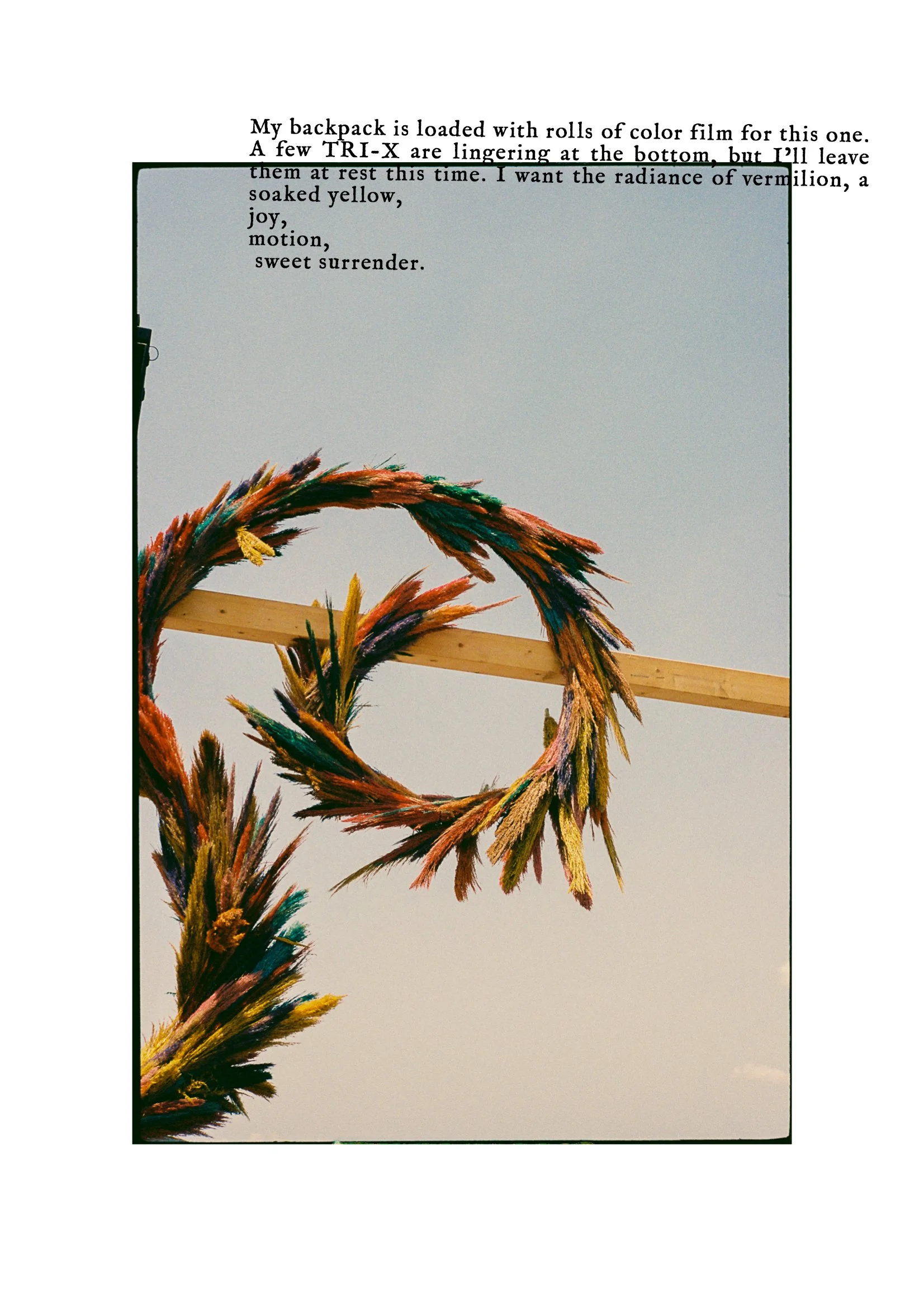 Guilhem_Guinot_Wakana_event_commissioned-01 portada.jpg