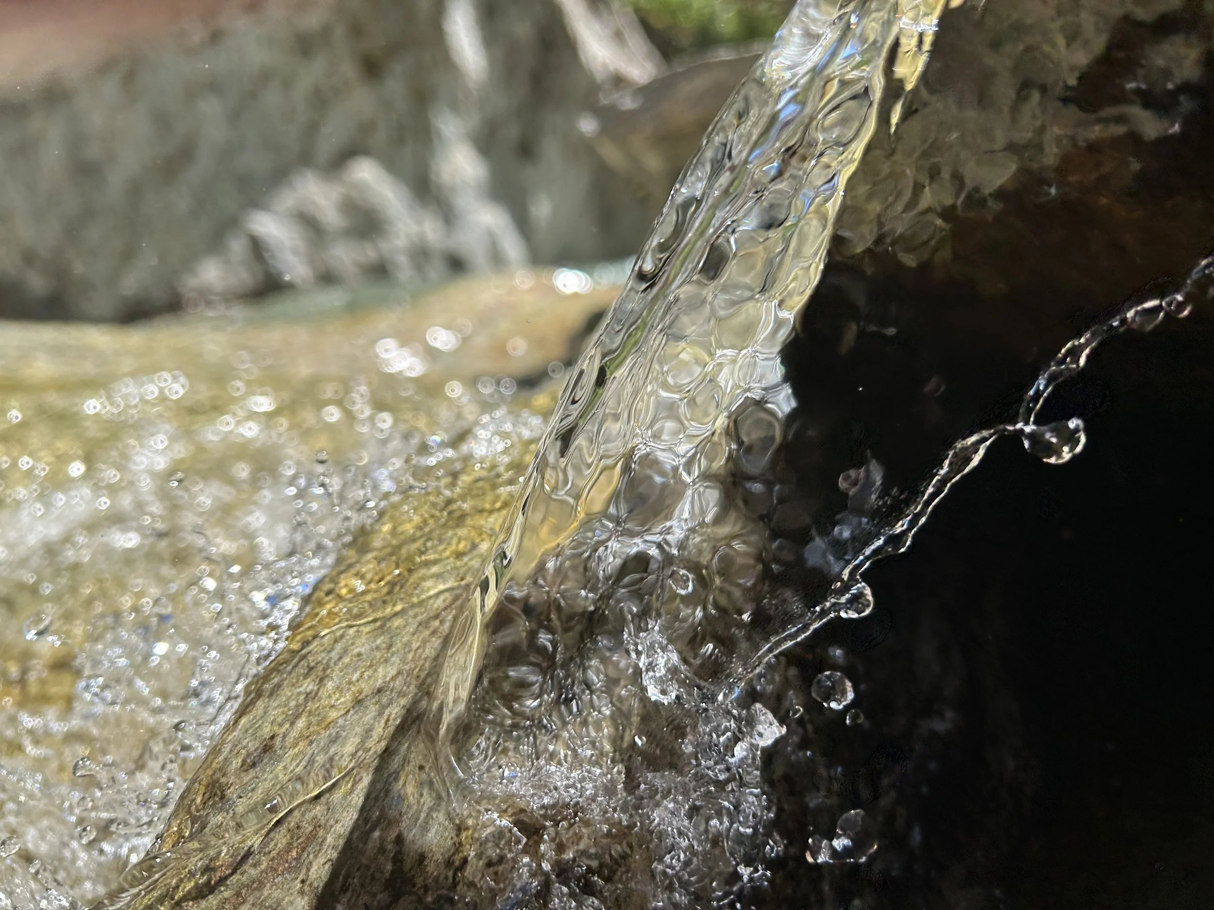 Sommerpause bis 11. August 2025