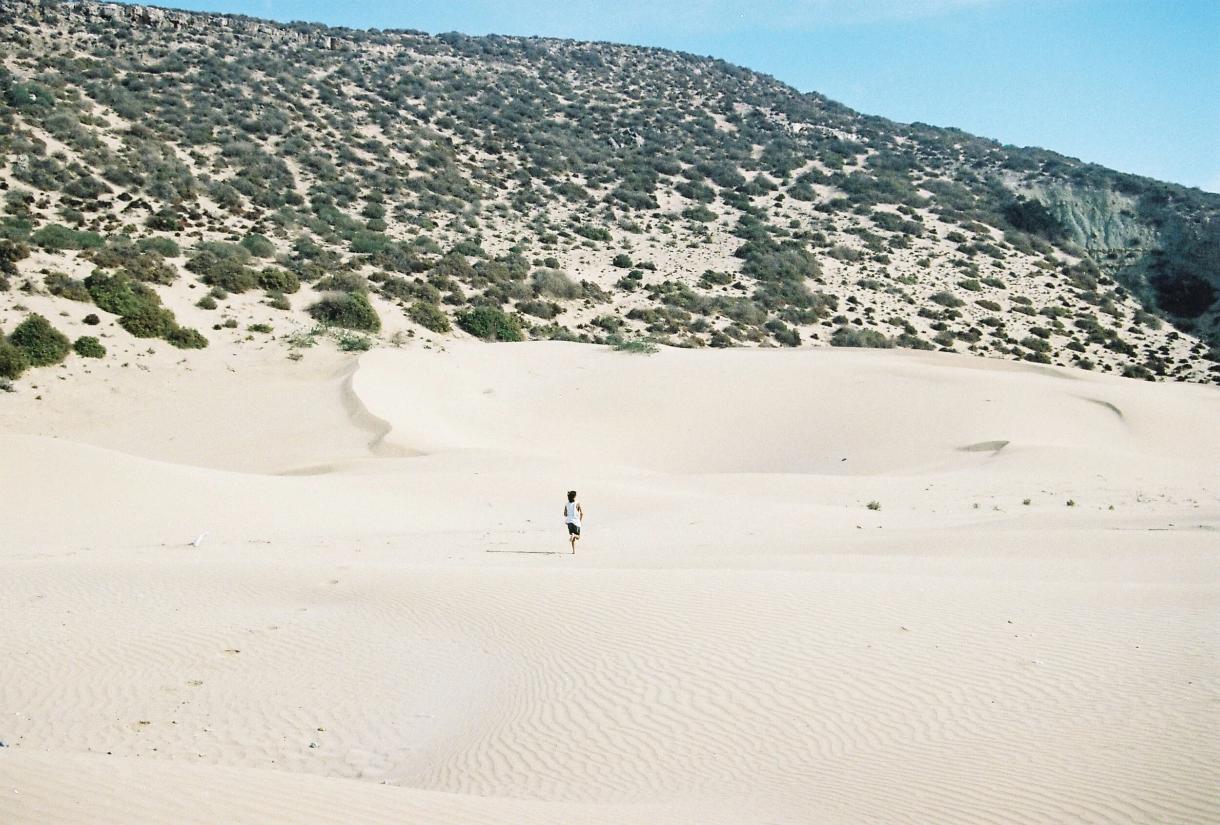 L'Ane Vert, Morocco | 2016
