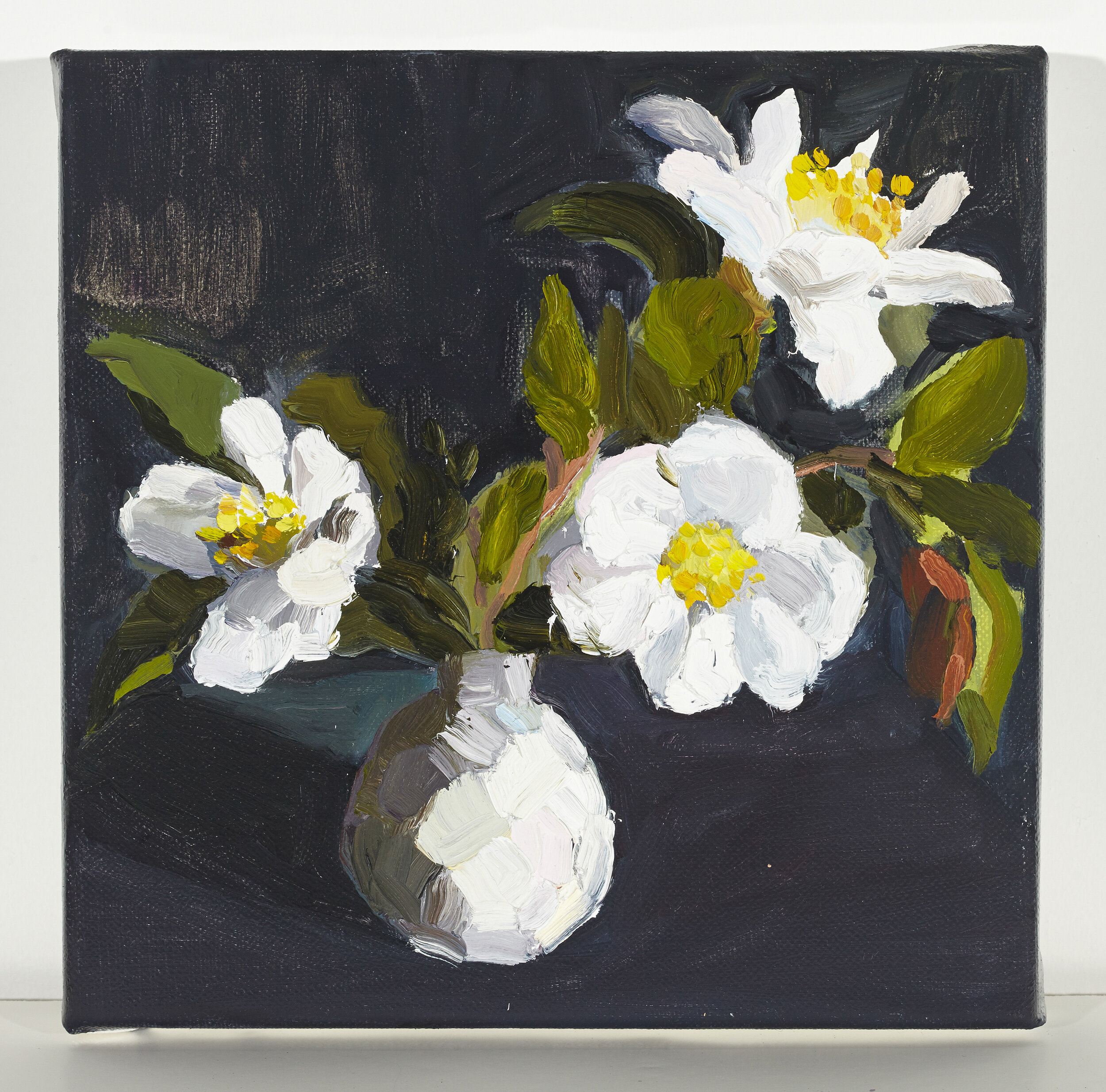 Three white camellias 2014, oil on linen, 25 x 25 cm-2.jpg