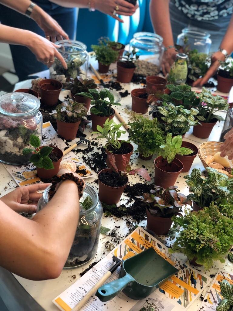 Terrariums.jpg