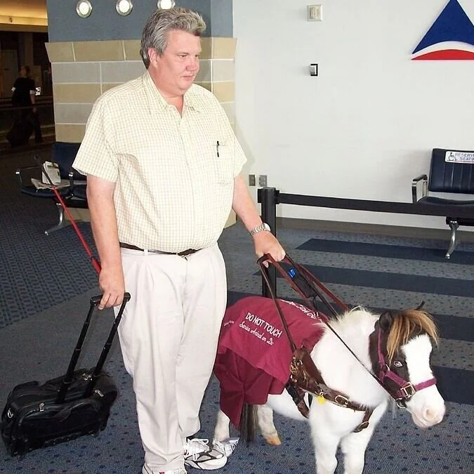 Restrictions proposed for service animals on planes