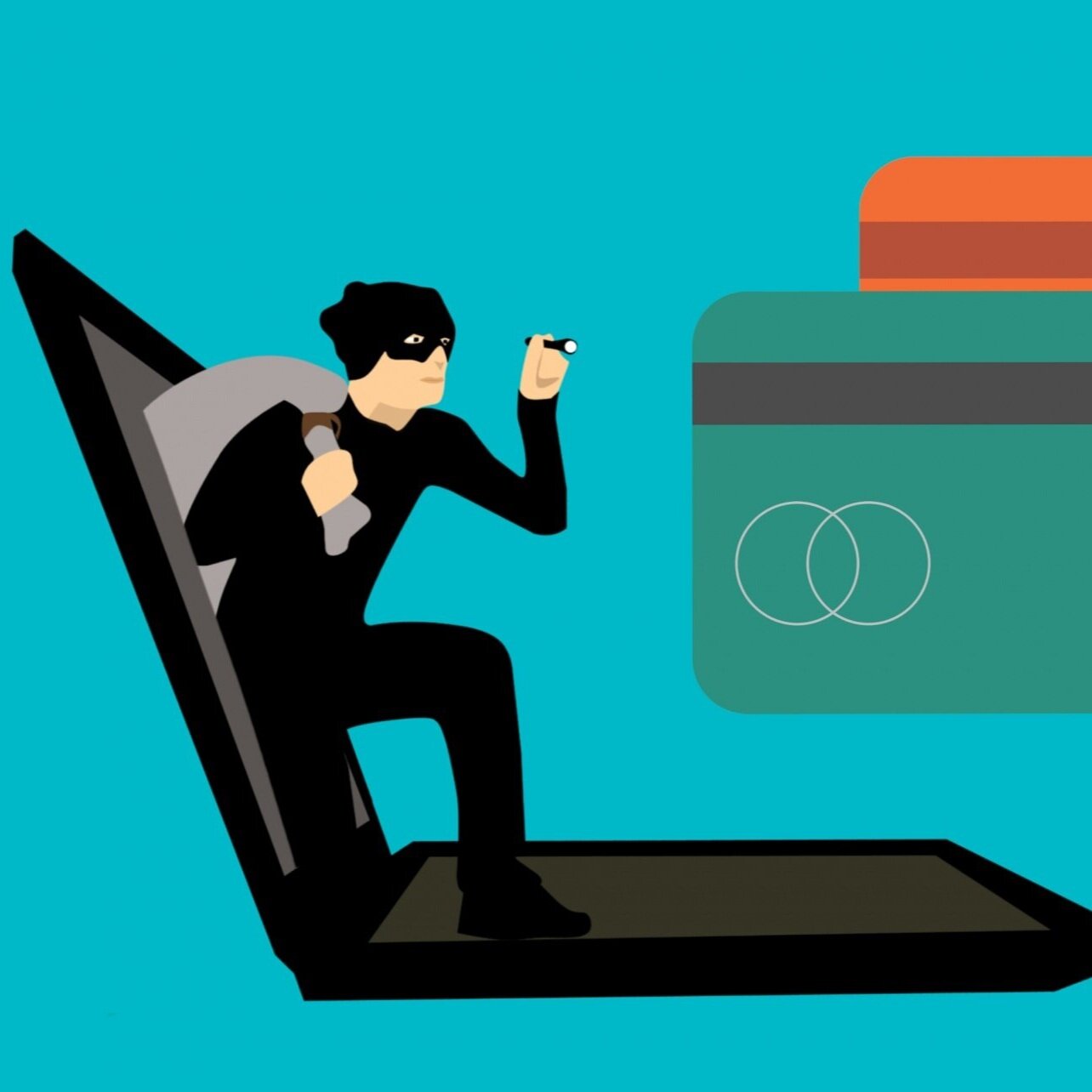 FBI warns growing threat of e-skimming