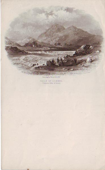 HS 4239.jpg
