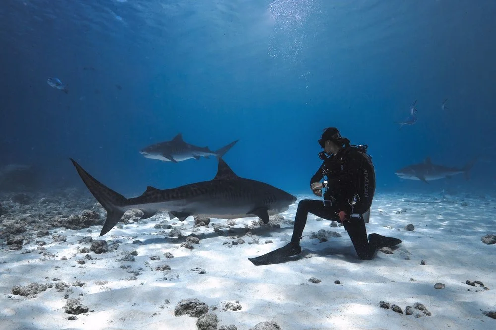 Blue Innovation: Let There Be Light