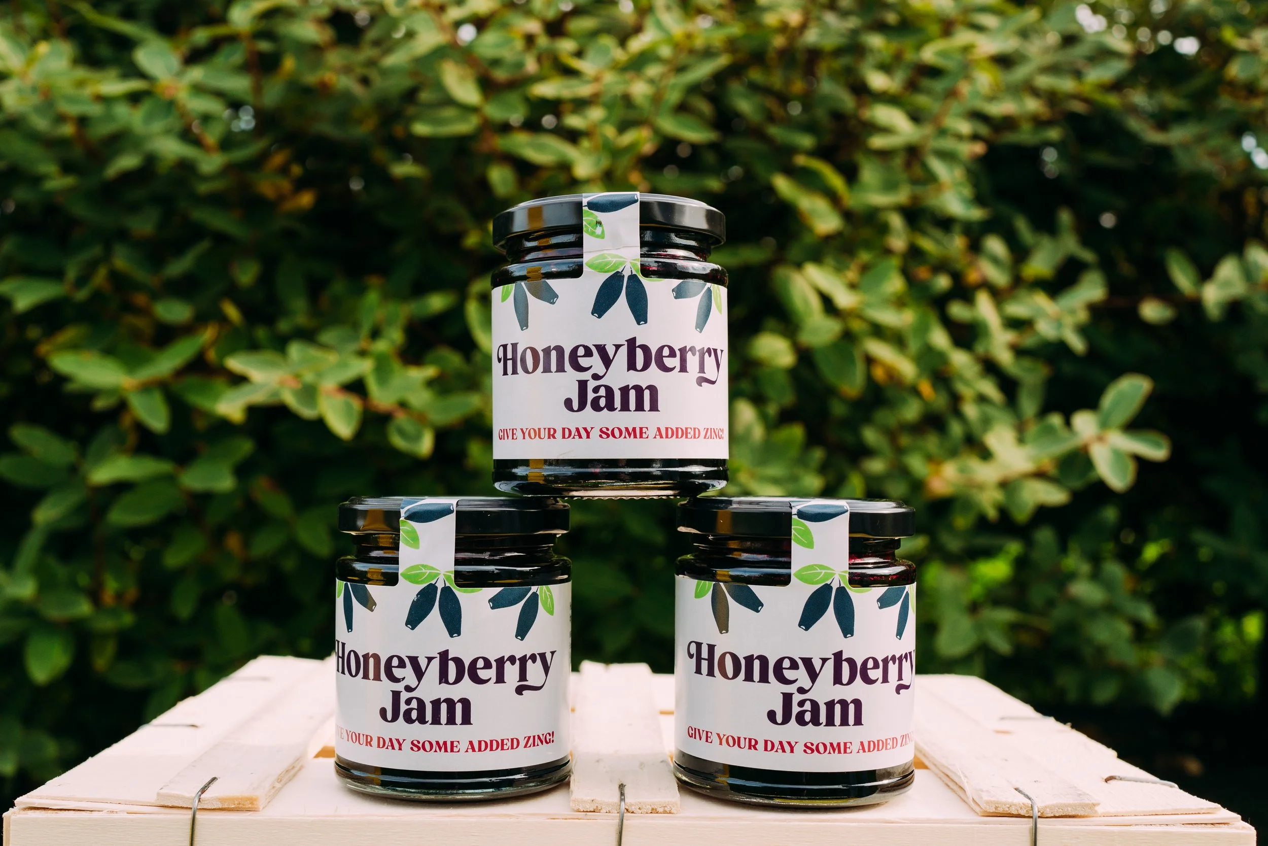 Honeyberries-10.jpg
