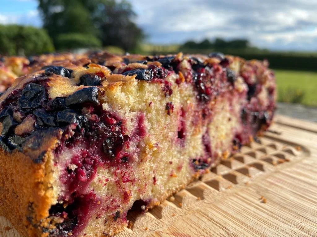 Close up image of honeyberry sponge