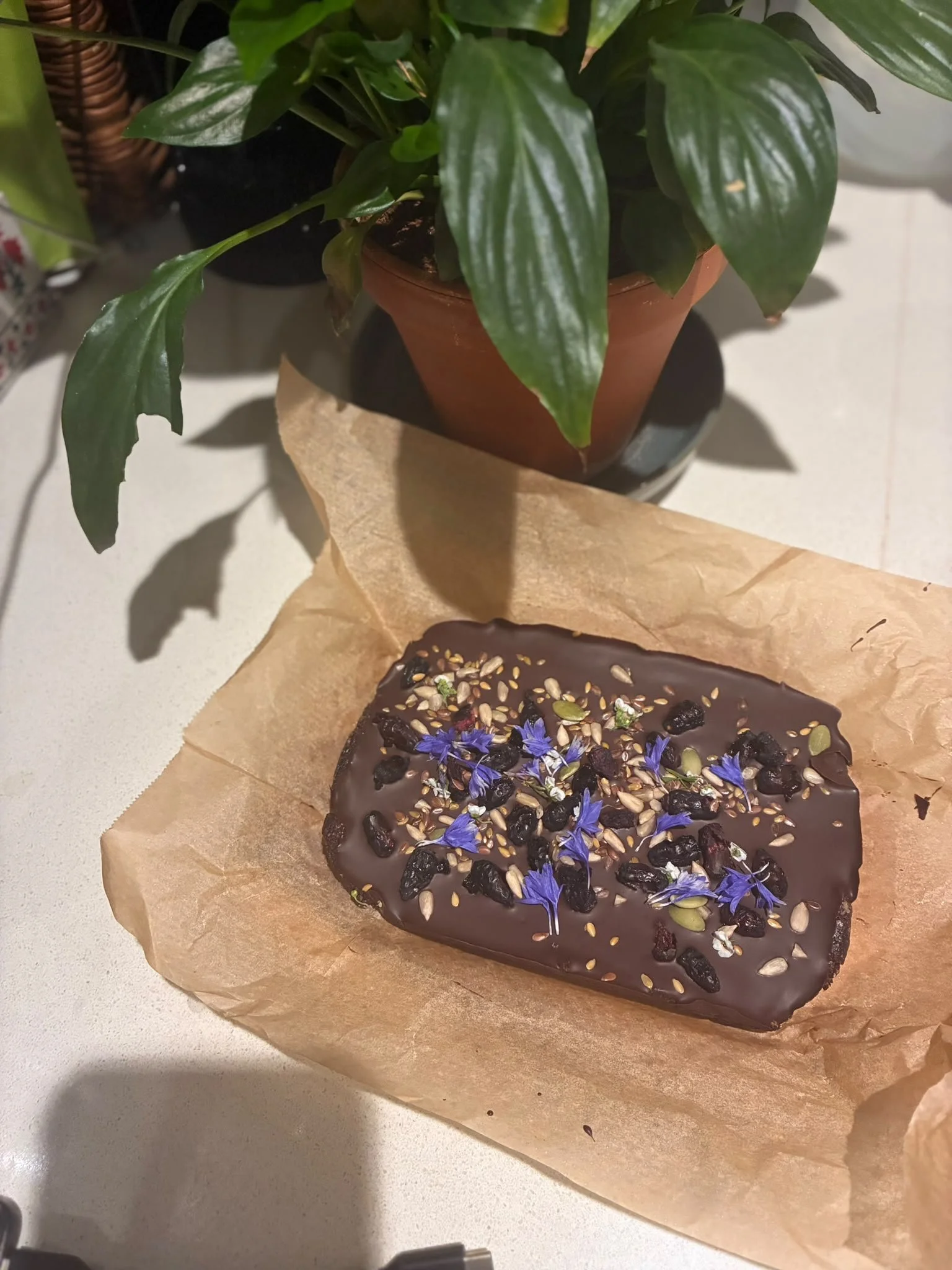 Date and dark chocolate honeyberry bites with mixed seeds