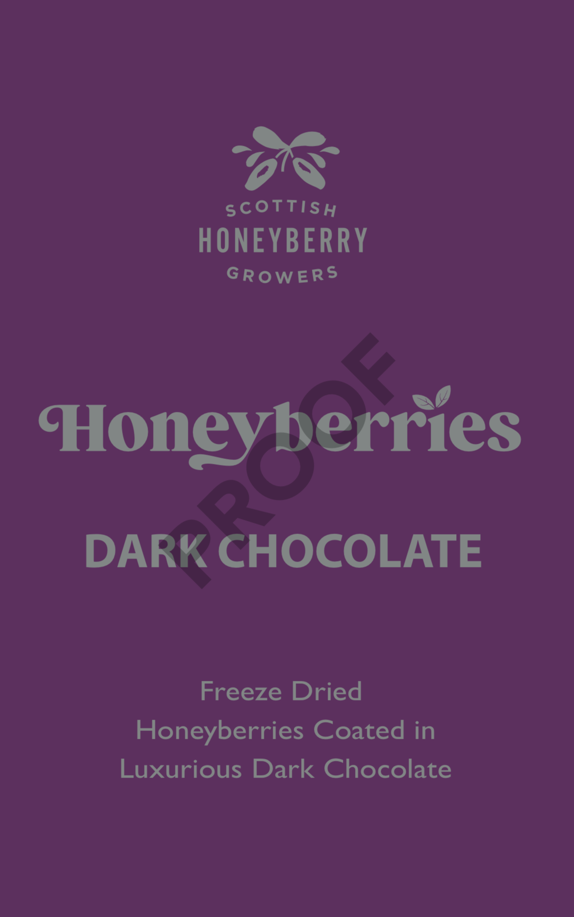 Dark Chocolate Coated Freeze Dried Honeyberries 125 g