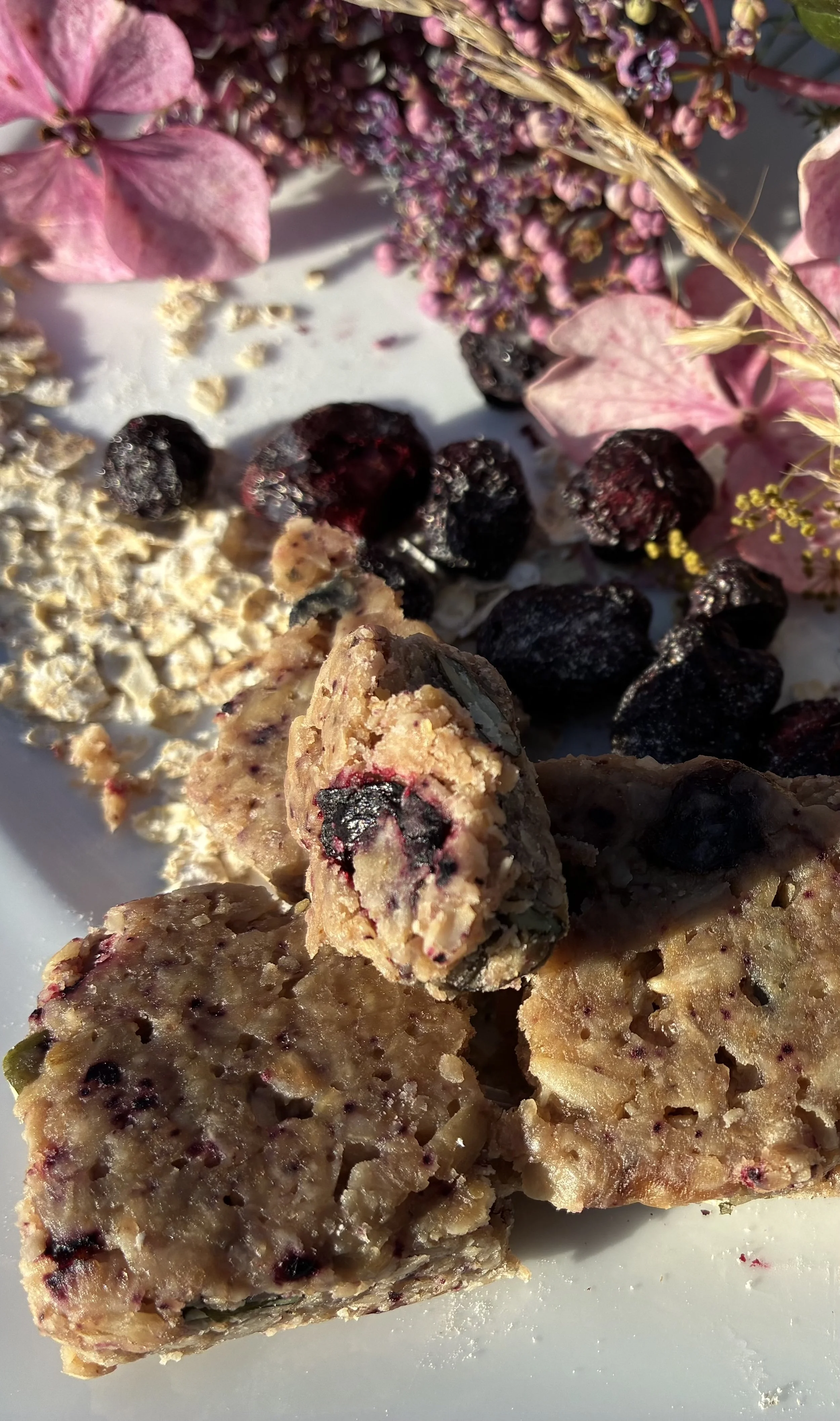 Honeyberry Oat Bar 1).jpeg