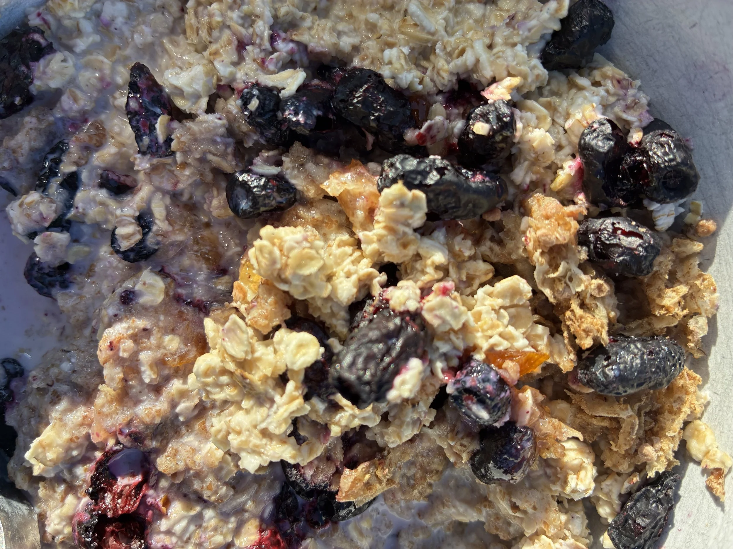 Honeyberry Oat Bar Mix.jpeg