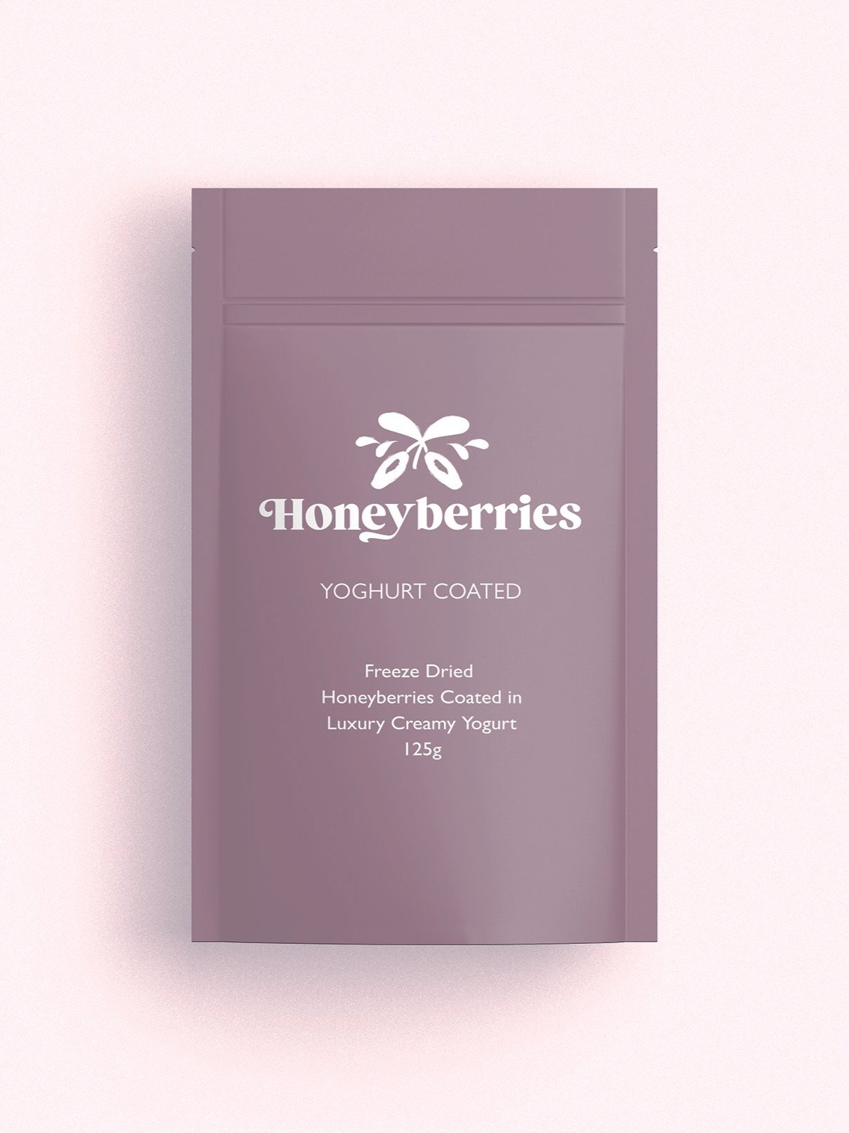 Chocolate+packaging+YOG%28Small%29.jpg