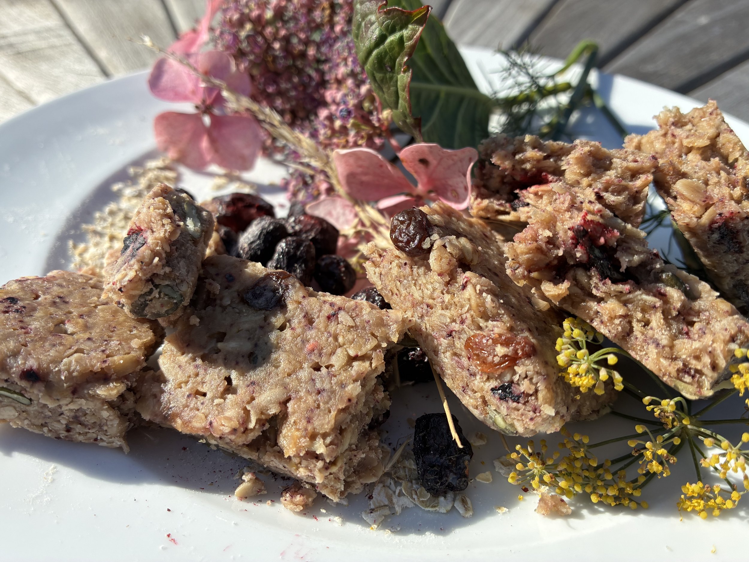 Honeyberry Oat Bar 2).jpeg