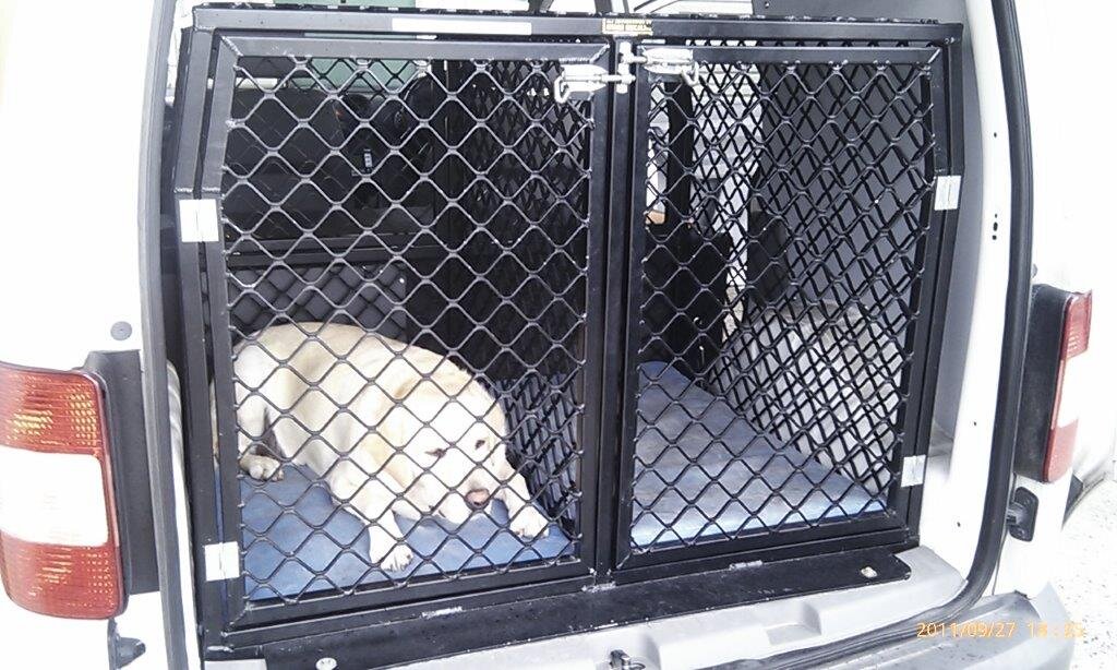 dog unit cage 2.jpg