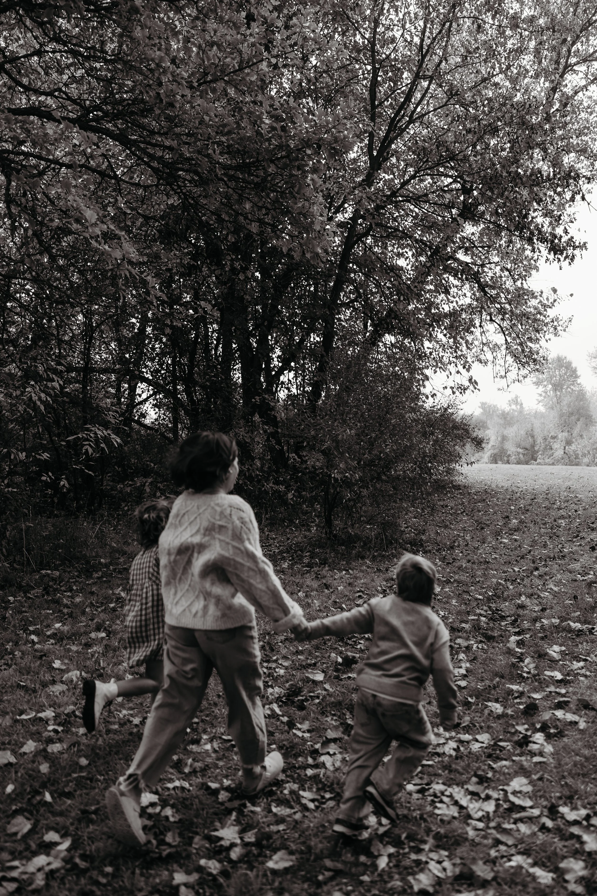 bw-2277.jpg