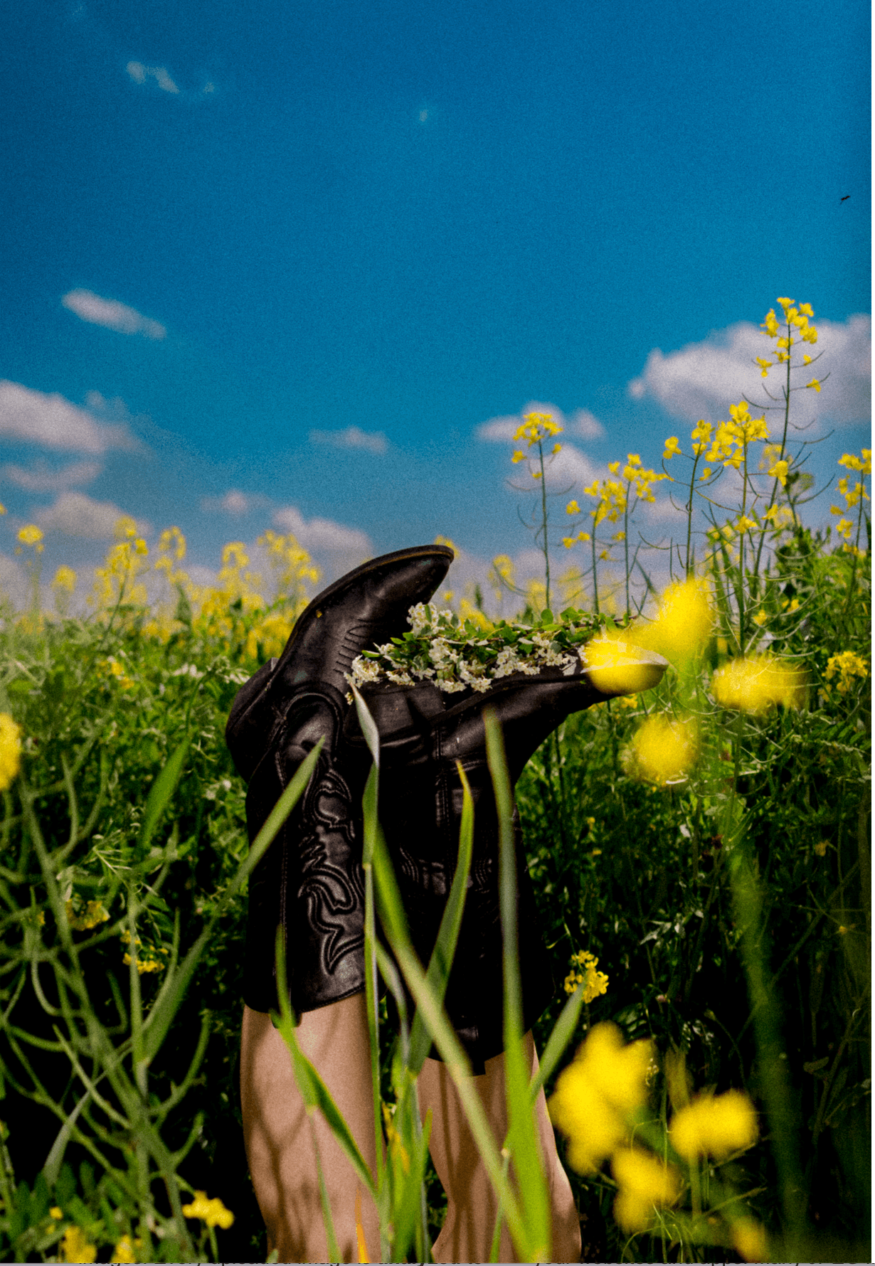 Michigan Senior Photographer.png