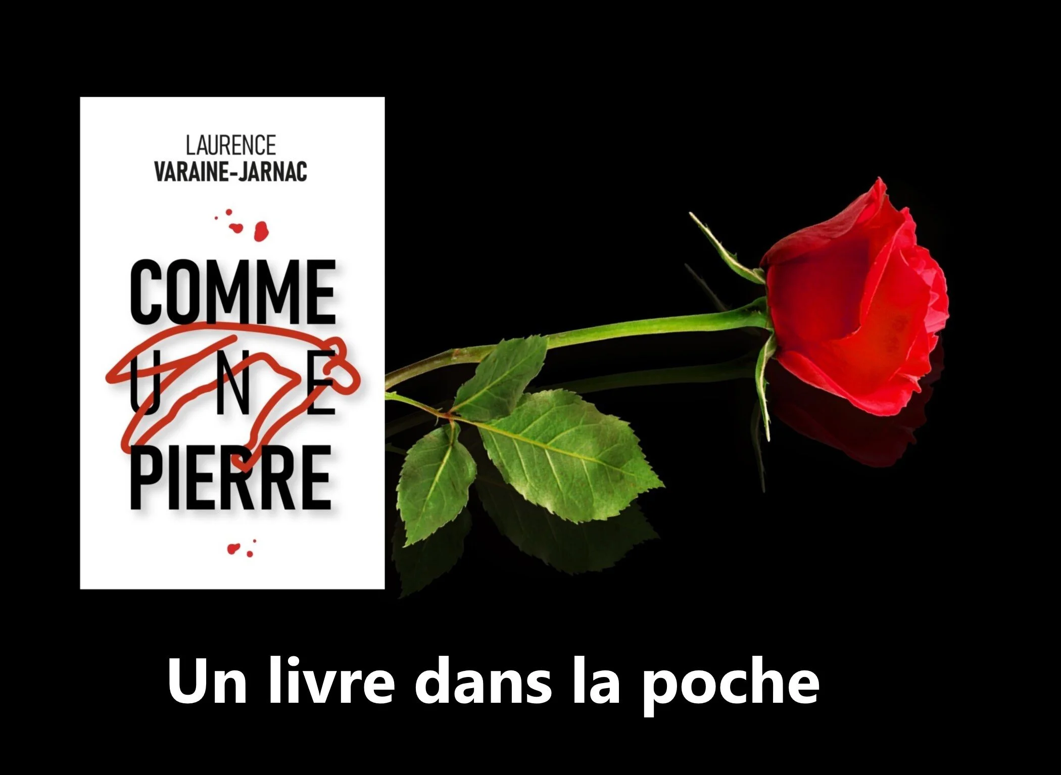 Première chronique pour “Comme une pierre” par le blog Un livre dans la poche !