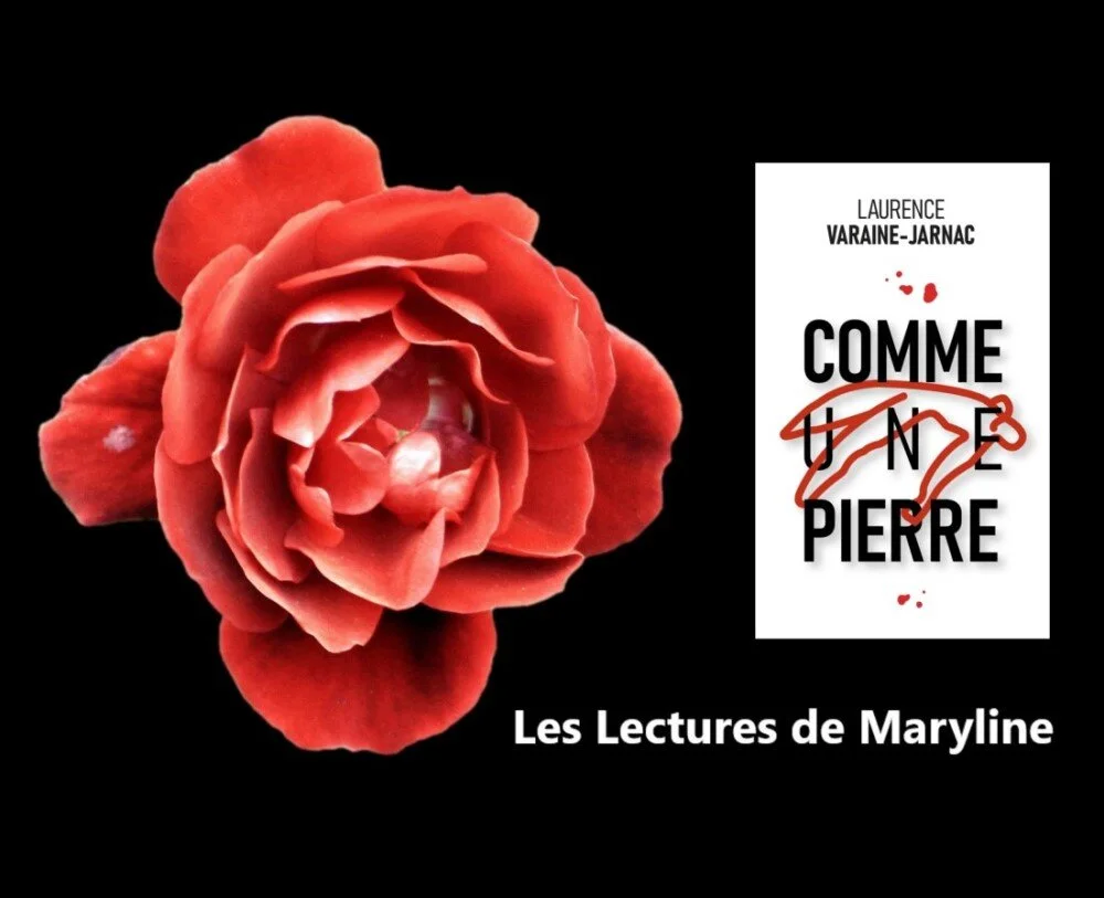 CHRONIQUE du blog Les Lectures de Maryline