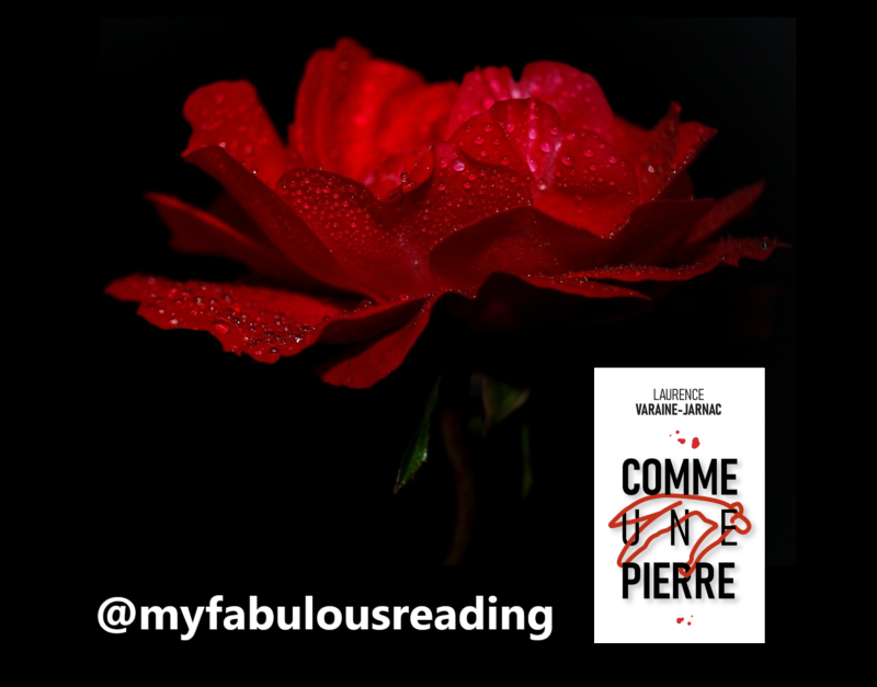CHRONIQUE de @myfabulousreading