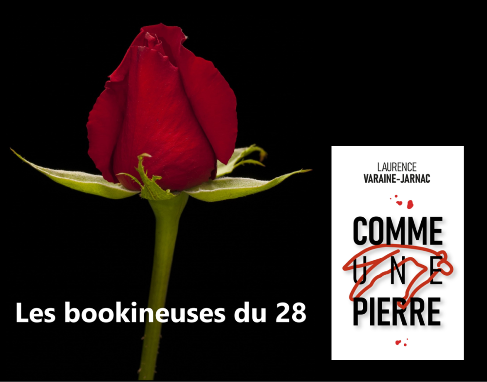 CHRONIQUE de Les Bouquineuses du 28