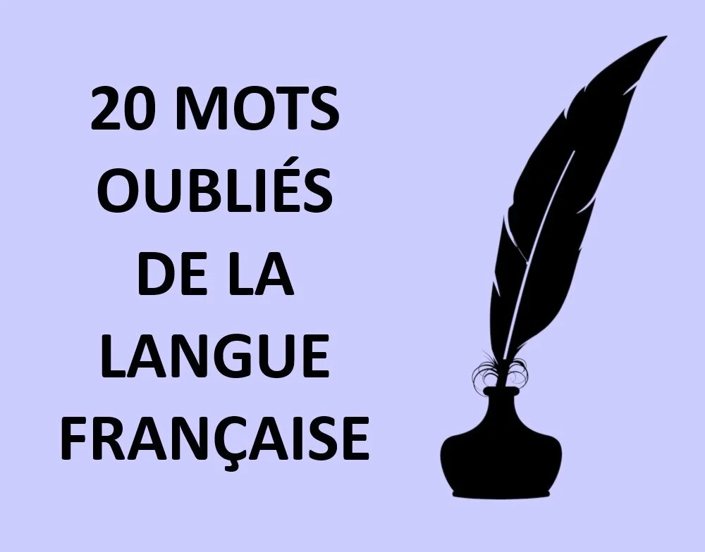 Notre belle langue française - Partie 2