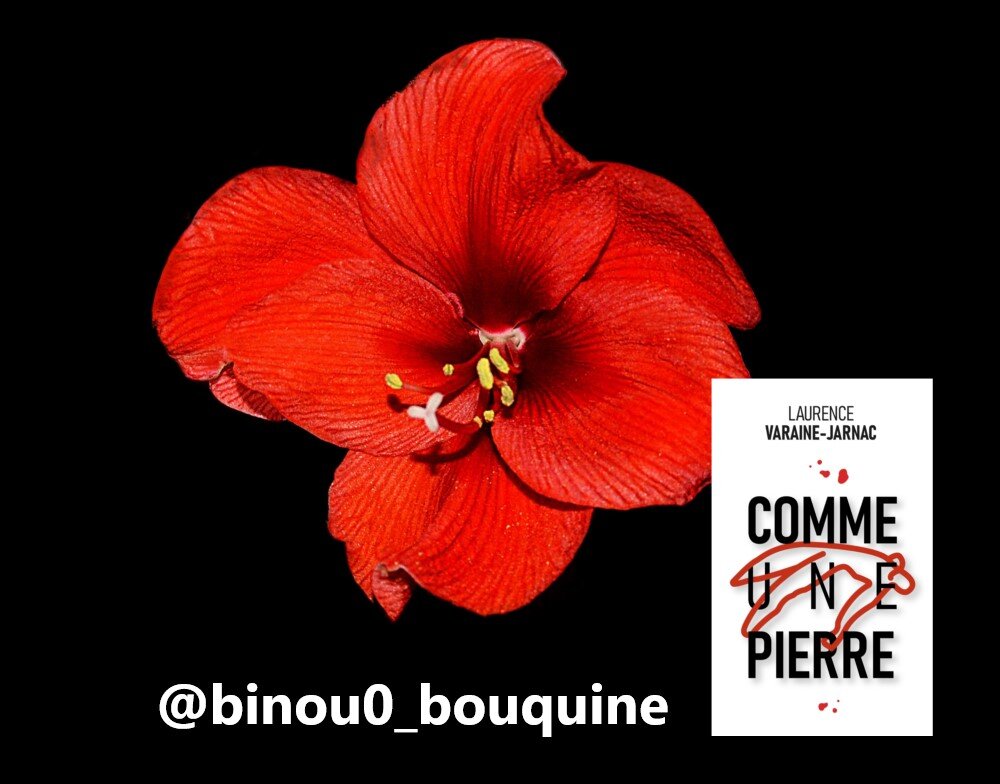 CHRONIQUE de @binou0_bouquine