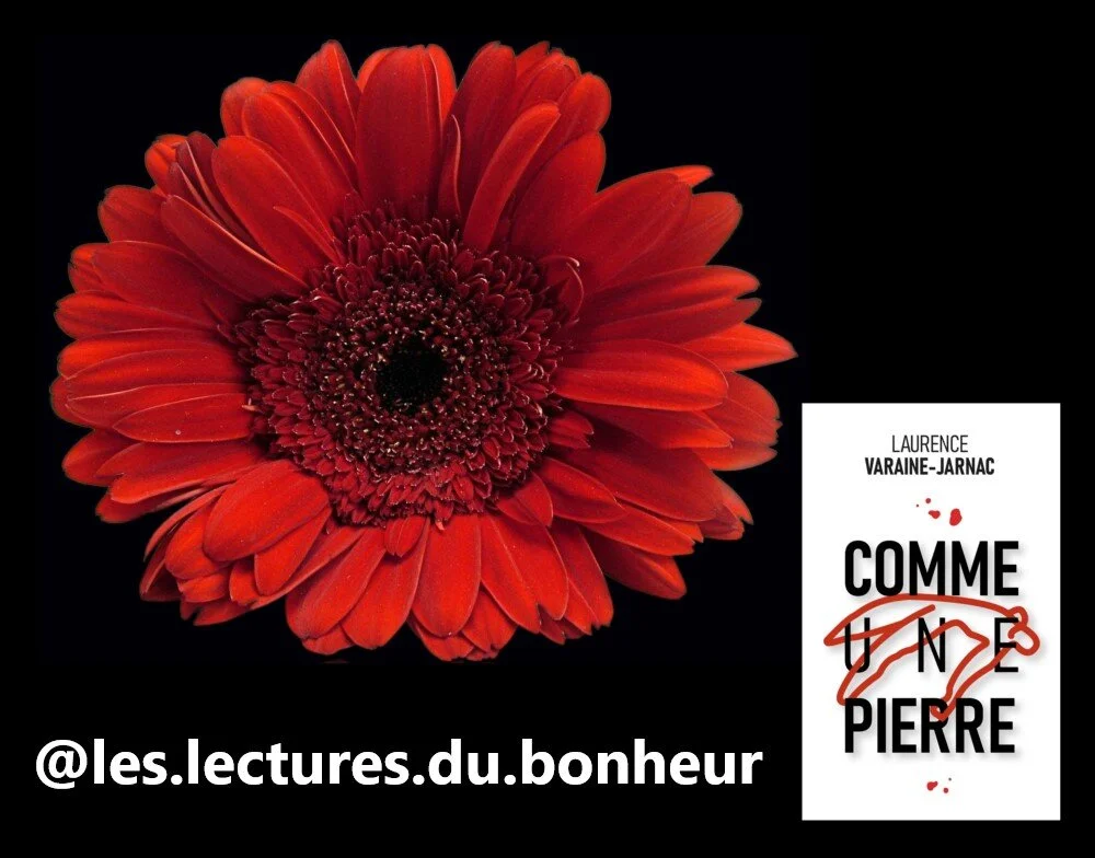 CHRONIQUE @les.lectures.du.bonheur