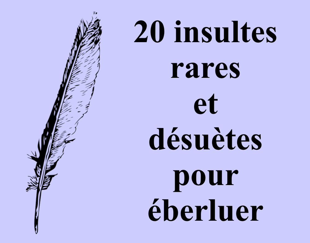 Notre belle langue française - Les insultes